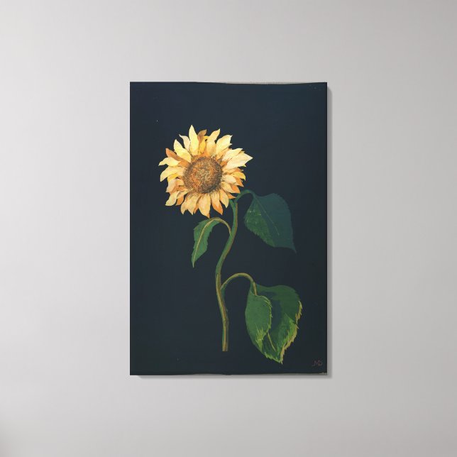 Sunflower Canvas Print (Front)