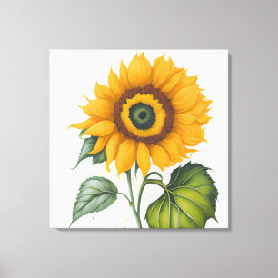 Sunflower canvas print