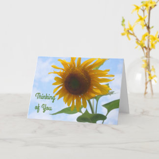 Sunflower Card