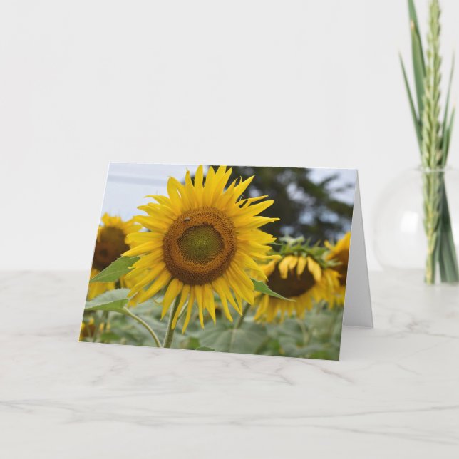 Sunflower card (Front)