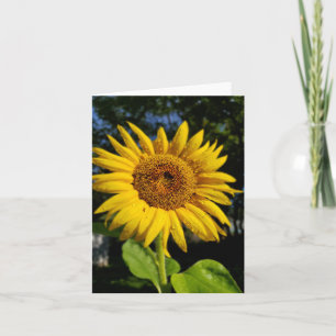 Sunflower Card