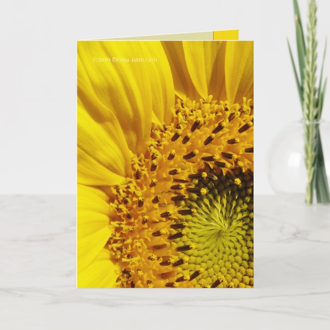 Sunflower Card (Front)