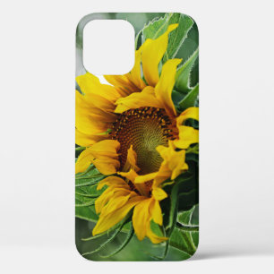Sunflower iPhone 12 Case