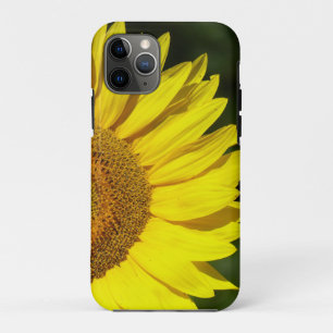 Sunflower iPhone 11 Pro Case
