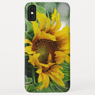 Sunflower iPhone XS Max Case