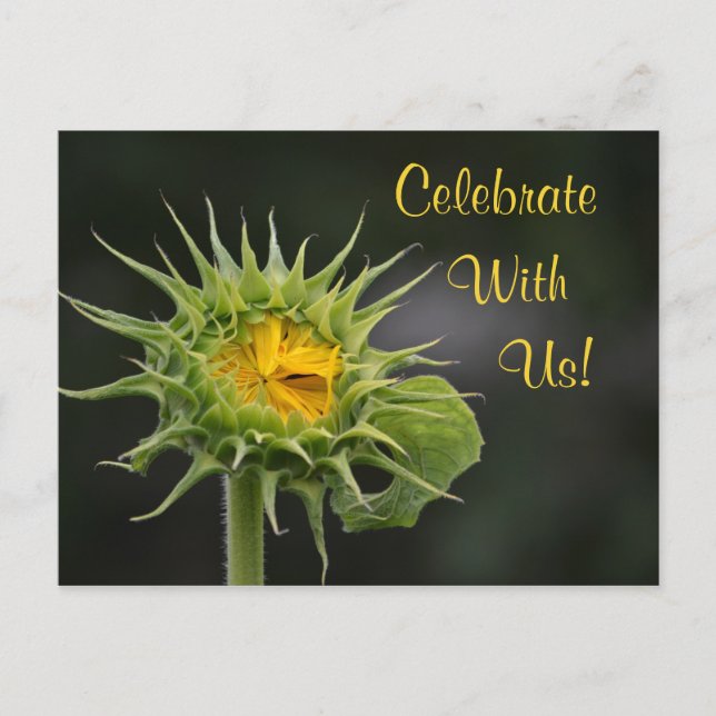Sunflower Celebration Invitation Postcard (Front)
