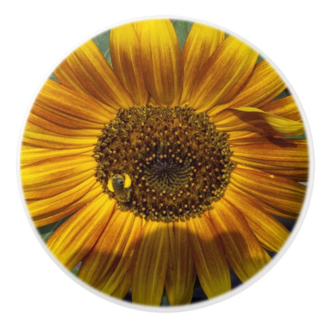 Sunflower Ceramic Knob (Front)