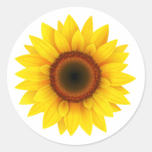 Sunflower Classic Round Sticker
