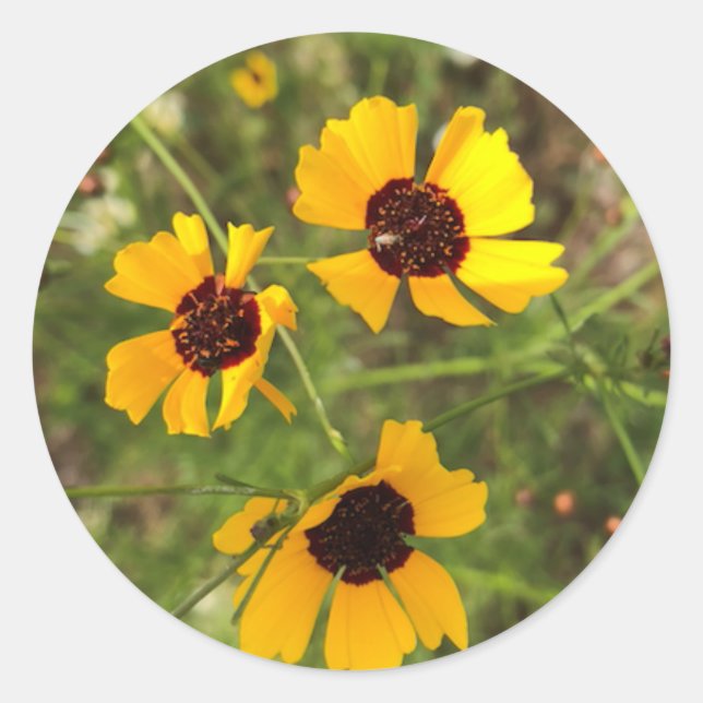 Sunflower Classic Round Sticker (Front)