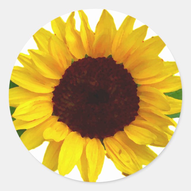 Sunflower Classic Round Sticker (Front)