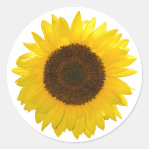 Sunflower Classic Round Sticker