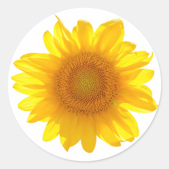 Sunflower Classic Round Sticker (Front)