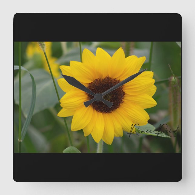 Sunflower Clock (Front)