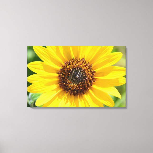 Sunflower Close Up canvas print (Front)