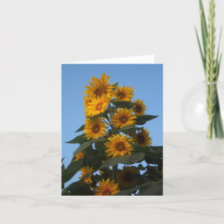 Sunflower Cluster Notecard