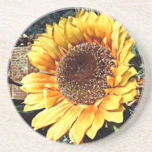 Sunflower Coaster