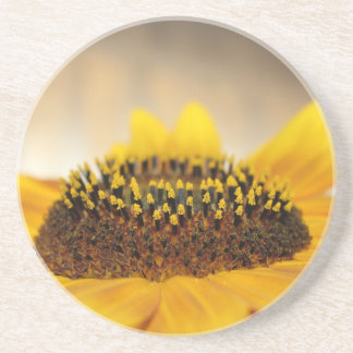 Sunflower Coaster