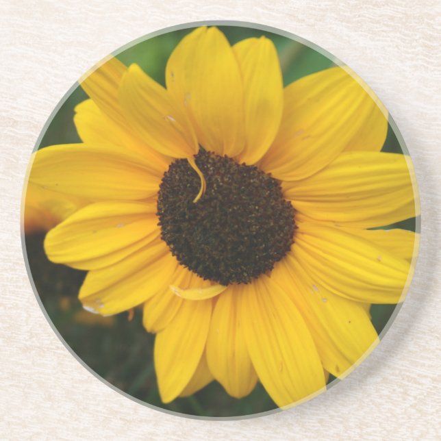 Sunflower Coaster (Front)