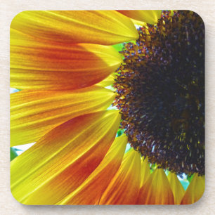 Sunflower Coaster
