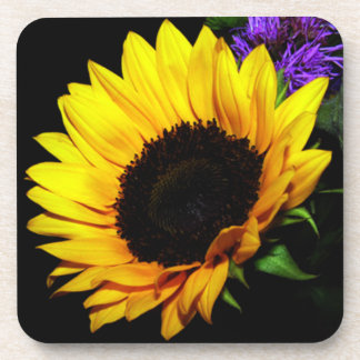 Sunflower Coaster