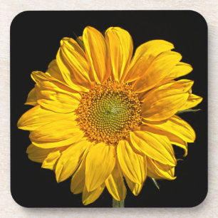Sunflower coastercn beverage coaster