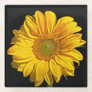 Sunflower coastercnm glass coaster
