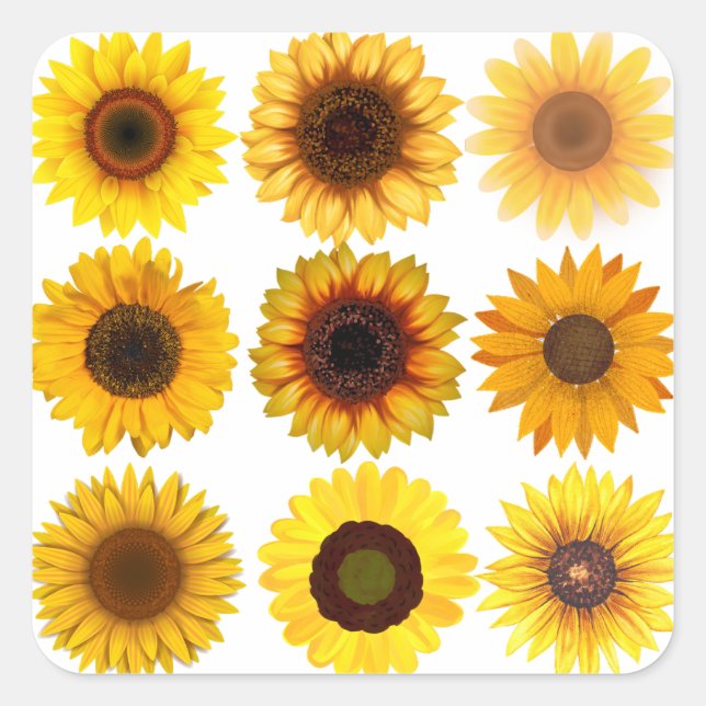 Sunflower Collage CUSTOMIZABLE Stickers (Front)