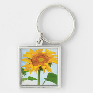 Sunflower, community garden, Moses Lake, WA, USA Keychain