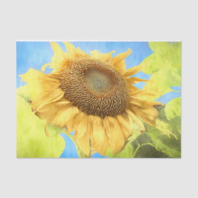 Sunflower Country Rustic Yellow Watercolor Tissue Paper (Front)