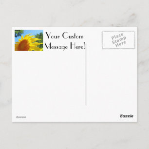 Sunflower custom postcards Yellow Sunflowers