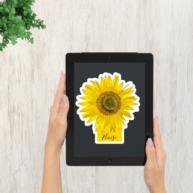 Sunflower Cutie (Creator Uploaded)