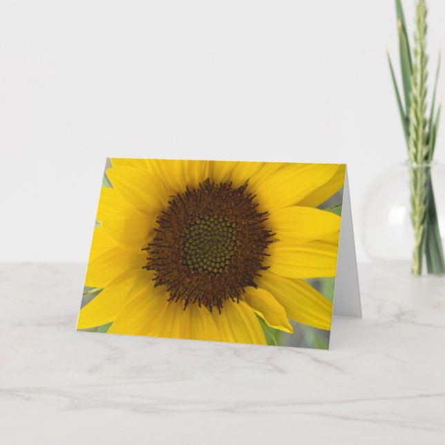 Sunflower Dark Centre Card (Front)