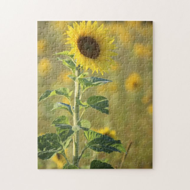 Sunflower Day Puzzle (Vertical)