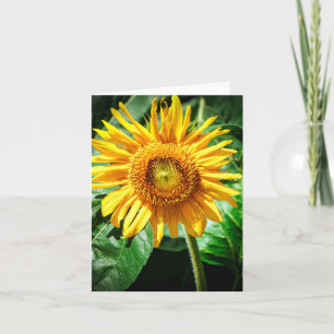 Sunflower Delight Card
