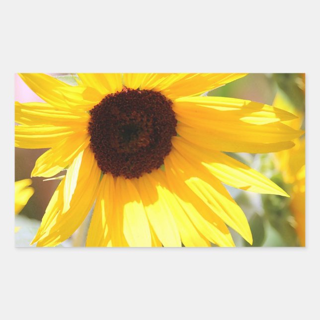 Sunflower Digital Photo Painting Sticker (Front)