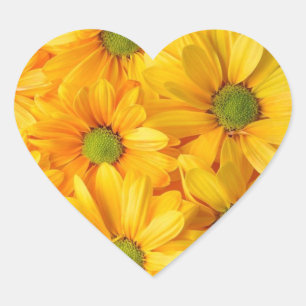 Sunflower Dreams Stickers that Smile Back