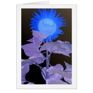 Sunflower Effect