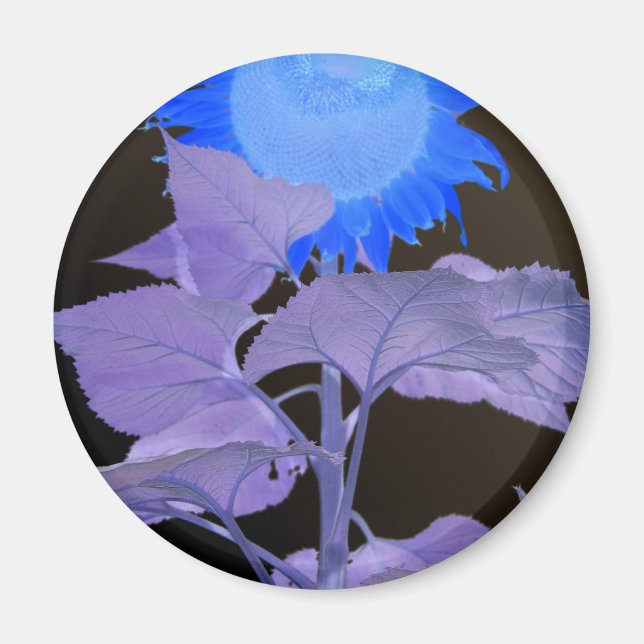 Sunflower Effect Magnet (Front)