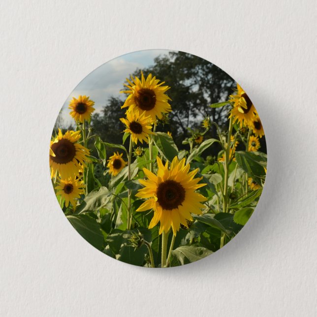 Sunflower Field 2 Inch Round Button (Front)
