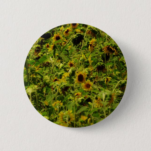 Sunflower field 2 inch round button (Front)