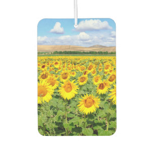 Sunflower field air freshener