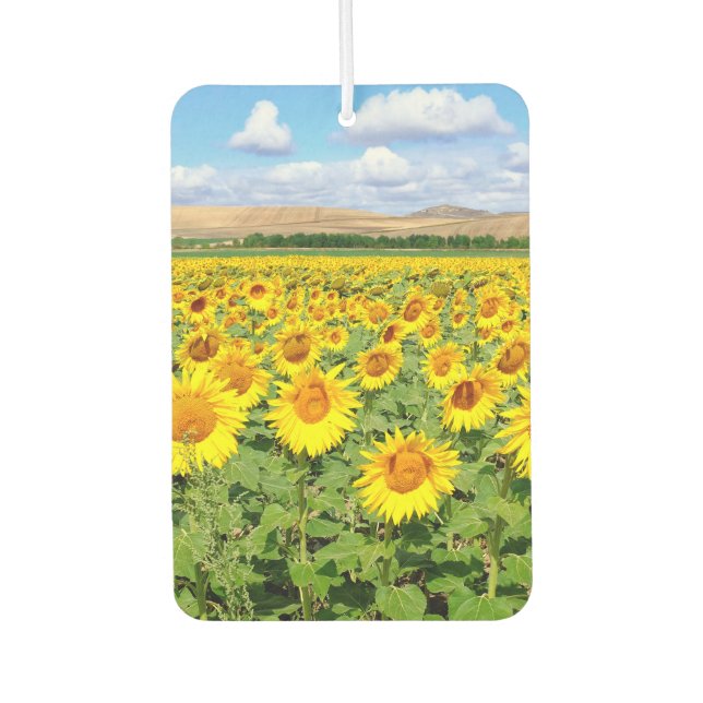 Sunflower field air freshener (Front)