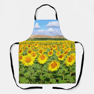 Sunflower field apron