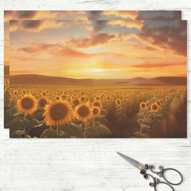 Sunflower Field at Sunset Decoupage Tissue Paper (Creator Uploaded)