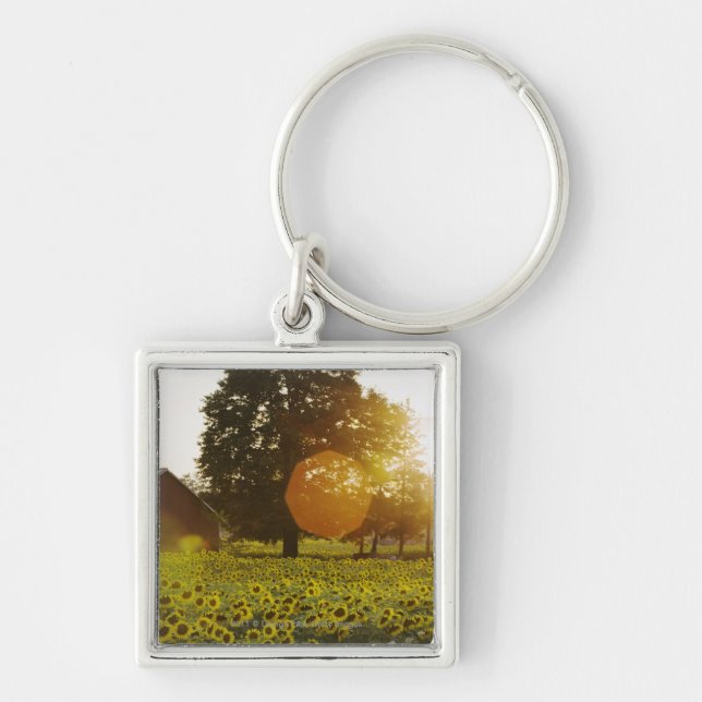 Sunflower Field At Sunset With A Barn Keychain (Front)