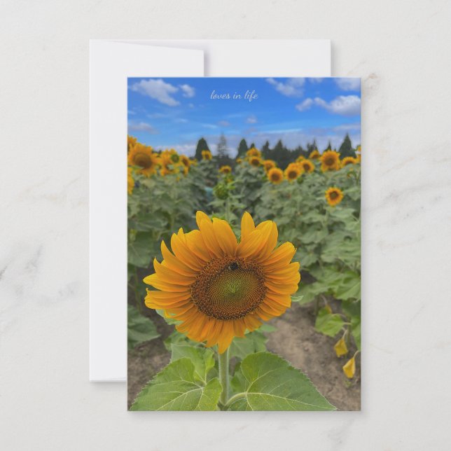 Sunflower Field & Bee Card (Front)