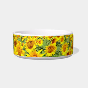 Sunflower field bowl