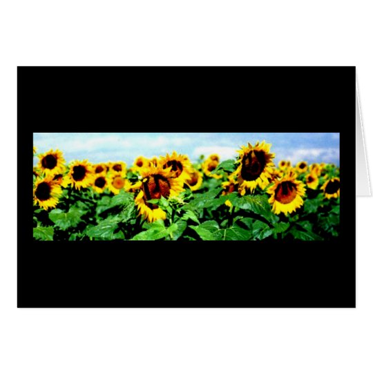 Sunflower field card
