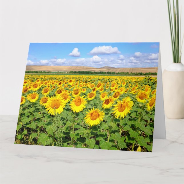 Sunflower field card (Front)