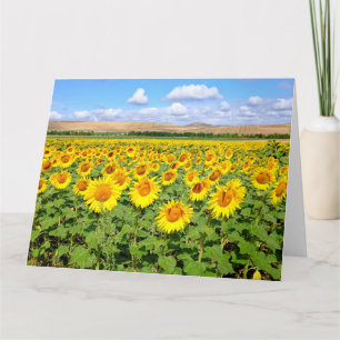 Sunflower field card